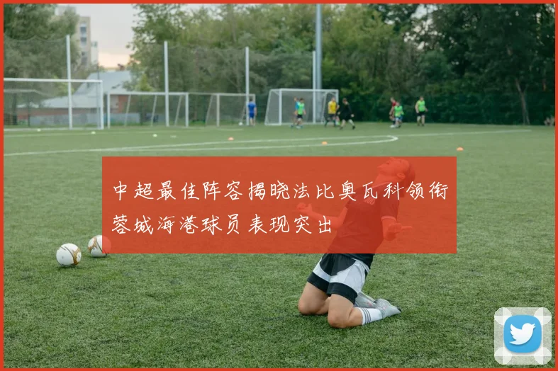 中超最佳阵容揭晓法比奥瓦科领衔蓉城海港球员表现突出